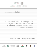 Intervenciones de enfermería para la prevención de caidas en adultos mayores hospitalizados : Evidencias y recomendaciones