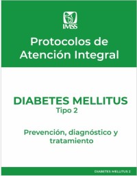 Image of Diabetes mellitus tipo 2 : prevención, diagnóstico y tratamiento