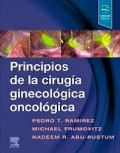 Principios de la cirugía ginecológica oncológica
