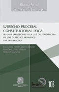 Derecho procesal constitucional local : nuevas expresiones a la luz del paradigma de los derechos humanos : una guía práctica
