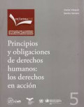 Principios y obligaciones de derechos humanos : los derechos en acción